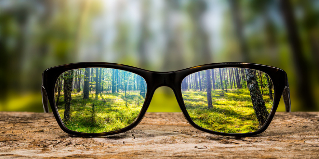 Seeing-Yourself-Others-Clearly